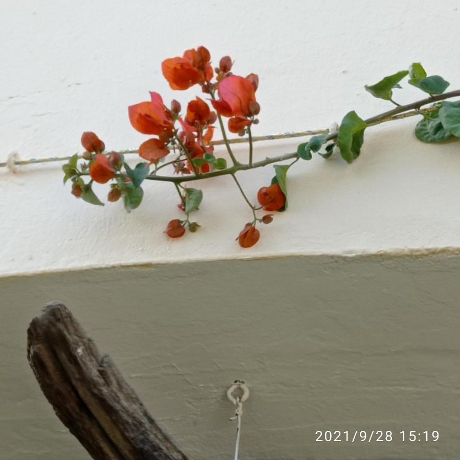 Appartamento Casa Luciano Murta Maria Esterno foto
